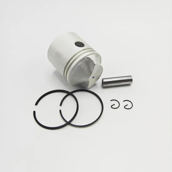 Cost-Effective Yamaha Outboard Engine Parts 6E3-11631-00 Piston Set for 5HP 2T