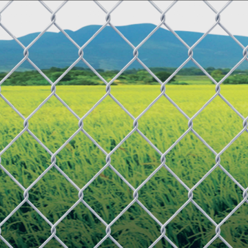 Vista de enlace de cadena (valla de enlace de cadena galvanizada)