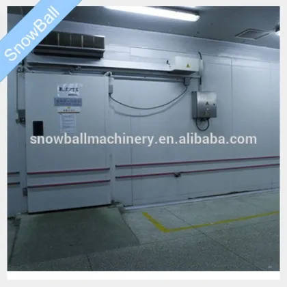 Air Blast Freezer Building Cold Storage Room