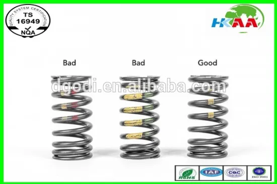 Compression Spring Spring Steel Valve Spring customized TS16949