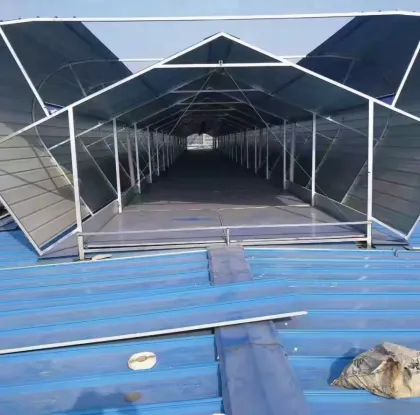 Ridge-Type Ventilation: Enhancing Building Smoke Exhaust with Triangular Skylights