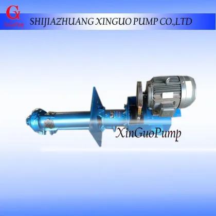 Shijiazhuang Vertical Slurry Pump Wholesaler