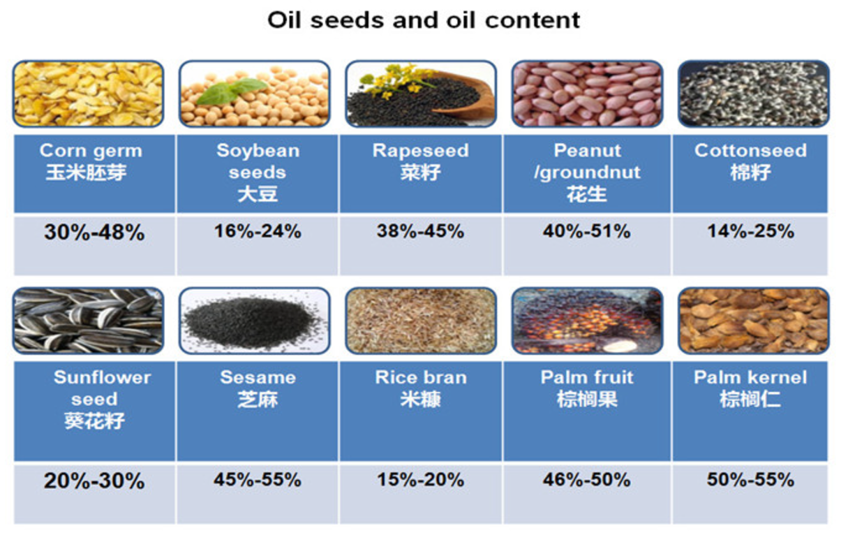 spiral oil press machine