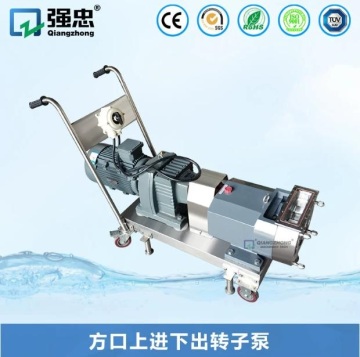 Square port, top inlet and bottom outlet rotary pump