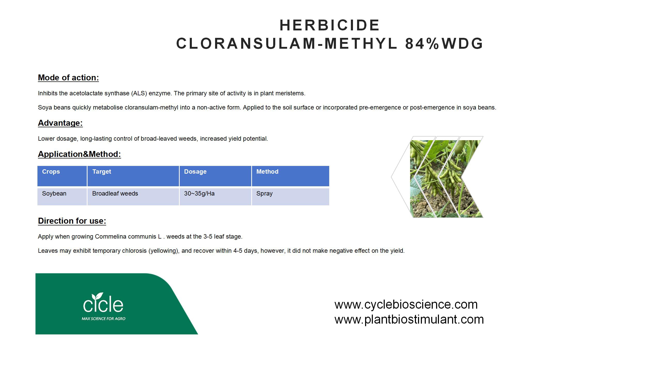 Cloransulam-methyl 84% Cloransulam-methyl 84%