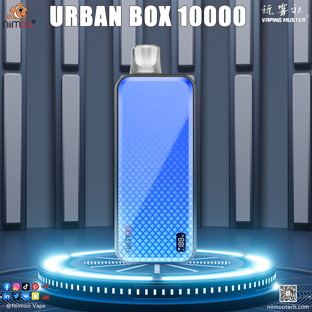 BOX BOX VAPE 10000 PUFFS