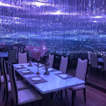 Waterproof LED Fiber Optic Colorful Flashing Spot Light for Outdoor Decoration