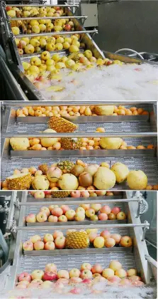 Vegetable and Fruit Cleaning Machine