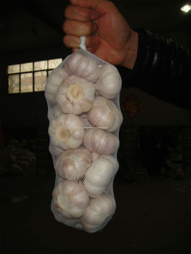 Pure White Garlic 6.0cm+