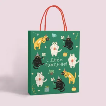 Custom Printed Gift Shopping Strong Paper Bags