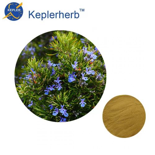 Rosemary Leaf Extract powder