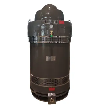 High-Power VHS Vertical Hollow Shaft Motors: 10 HP to 600 HP Solutions