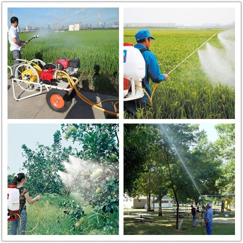 Tubo spruzzatore Sprayer Hose