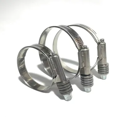 Hose Clamps and Pipe Clamps