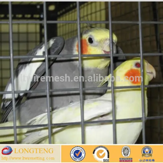 Anping supplier high quality pvc coated bird cage welded wire mesh