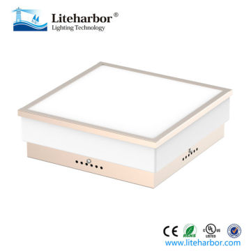 11/15 Inch LED Square Ceiling Lamp