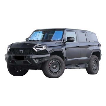 हॉट न्यू डोंगफेंग एम-हीरो 917 हाई हॉर्सपावर PHEV EV BUGGY