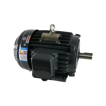 TECO Dongyuan 3.7KW 5HP Brake Motor with 3700W Output: Specifications and Features