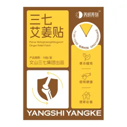 Panax Notoginseng Mugwort Ginger Warming Patch