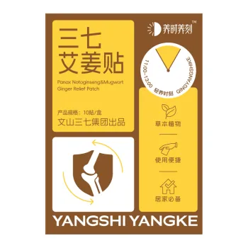 Panax Notoginseng Mugwort Ginger Warming Patch