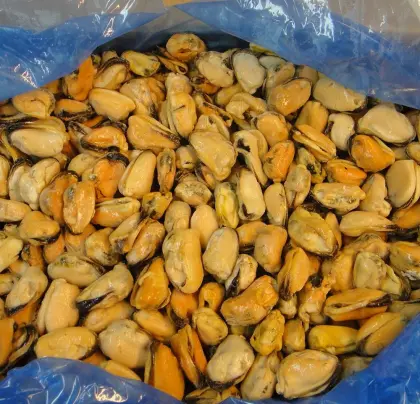 Frozen IVP mussels without shell