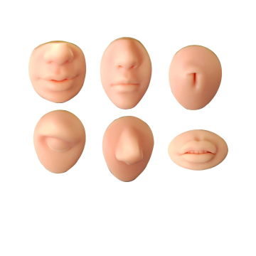 Training Model and Tools for Tattoo Puncture and Body Piercing Practice