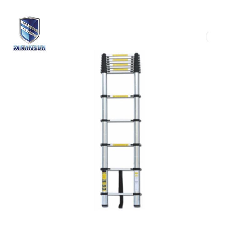 extenable ladder3