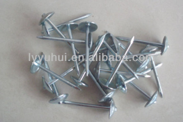 factory price roofing nail