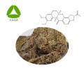 Биологический пестицид Rattan Extract Rotenone 40% ВЭЖХ