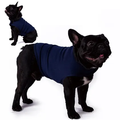 Anxiety pet clothing and accessories