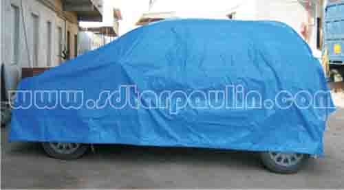 PE Tarpaulin PE Tarpaulin
