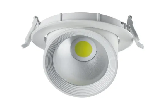 30w/40w Cob Downlight Ceiling Light Led Spotlights For Commercial Lighting