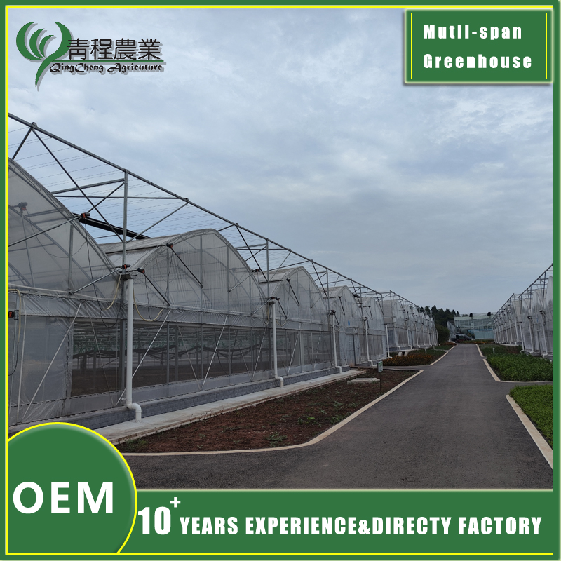 multi span greenhouse double layer design