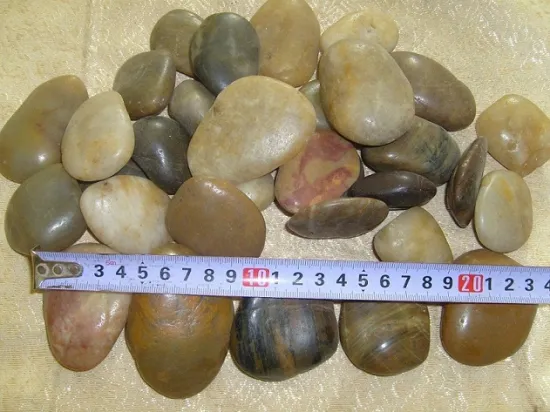 Multicolor Natural Pebble Stone Paver