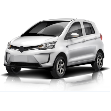 Low Speed Small Electric SUV: 5 Doors, 4 Seats, Very Cheap