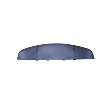 Factory Price Auto Parts Front Bumper Lower Trim Guard Plate OE 1050421-00-D for Model X