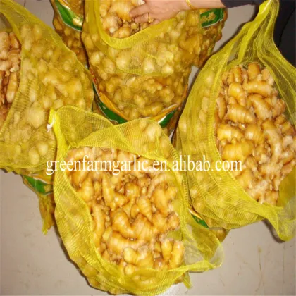 Jining greenfarm fresh ginger
