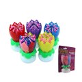 Candela Rainbow 14 Little Lotus Birthday Music Flower