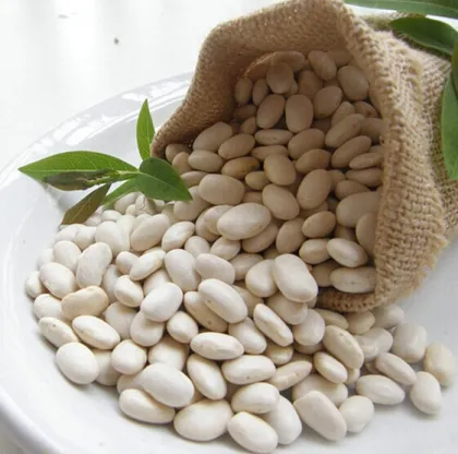 Health White kidney bean extract