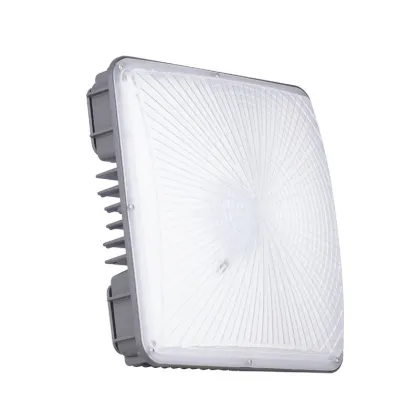 Led Canopy Lighting Fixtures 50W