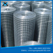 2X2 galvanized welded wire mesh