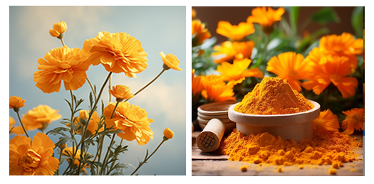 lutein 002