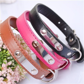 2015 Adjustable Pet Collar / Pet Accessory / Pet Product