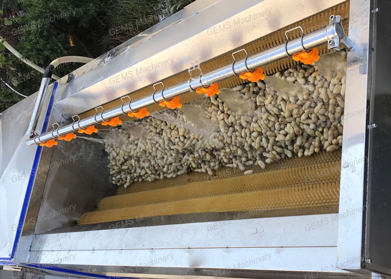 peanut washing