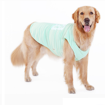 best pet clothes for dogs online
