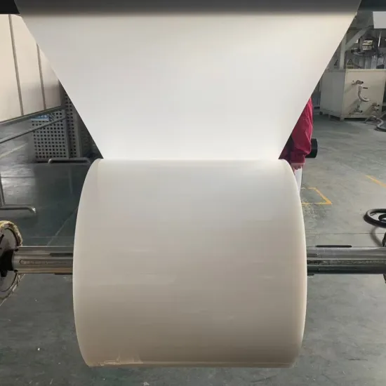 Disposable PP Thermoforming Sheet for Packaging