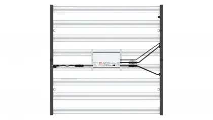 New Technology Full Spectrum LED Grow Light