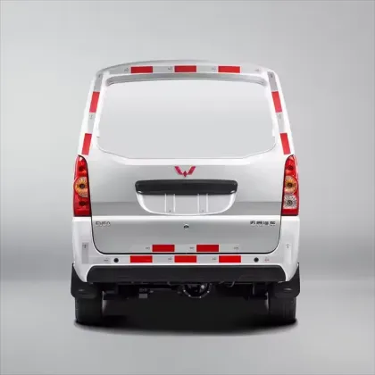 2024 SAIC Wuling EV50: LHD/RHD High-Speed Long-Range Electric Cargo Van for Vegetable Delivery