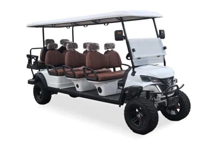Luxury 8 Seat Golf Vehicle for Golf Courses