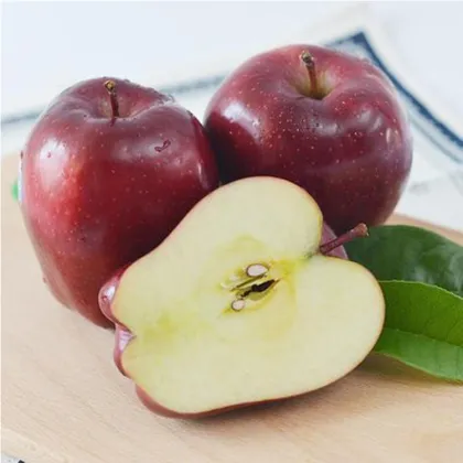 fuji exporter fuji factory fuji price